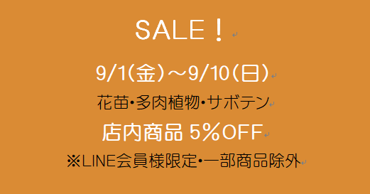 三重県松阪市のFLORA（フローラ）のイベント「LINE会員様限定SALE！」