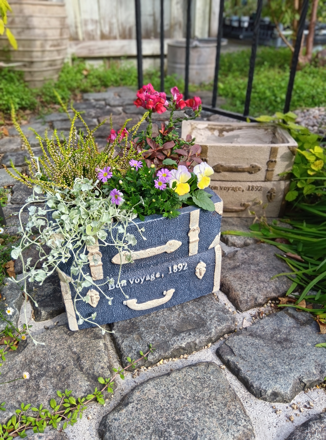 FLORA（フローラ）イベント 11月定期寄せ植え教室【開催終了】