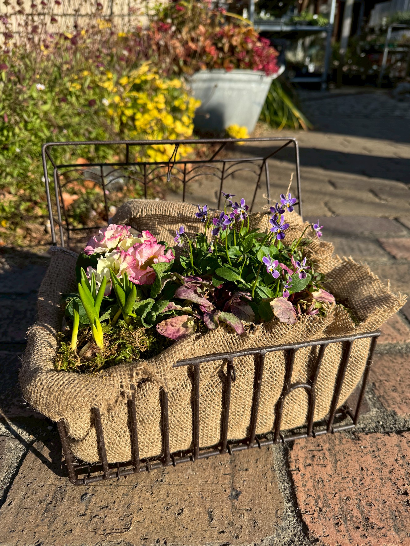 FLORA（フローラ）イベント 2月定期寄せ植え教室