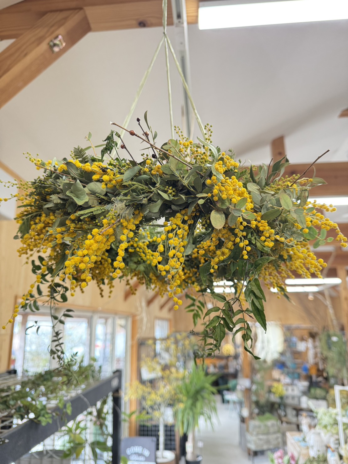 FLORA（フローラ）イベント ミモザのフライングリース