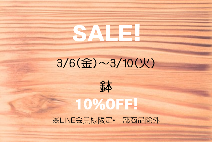 FLORA（フローラ）イベント LINE会員様限定SALE!