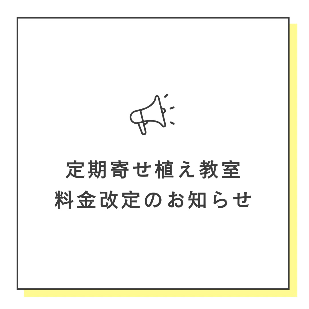 FLORA（フローラ）イベント 定期寄せ植え教室 料金改定のお知らせ