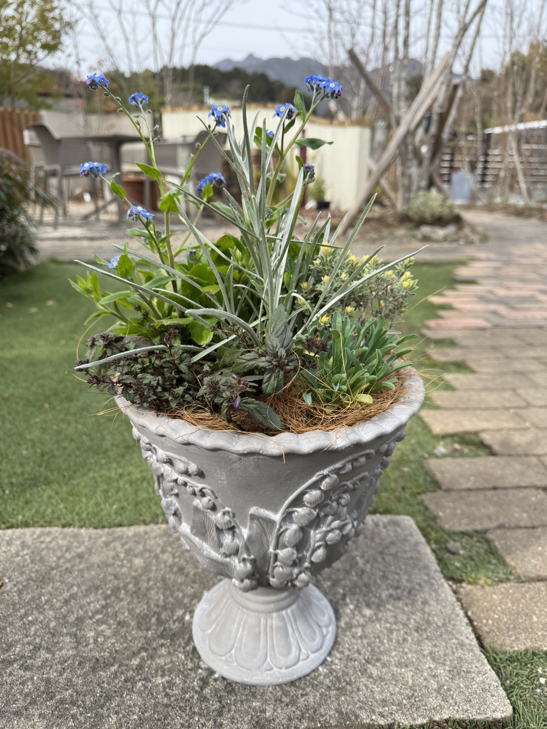 FLORA（フローラ）イベント 4月定期寄せ植え教室