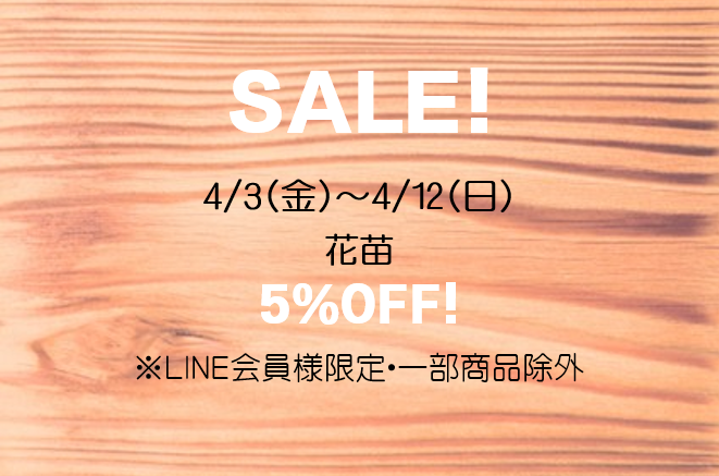 FLORA（フローラ）イベント LINE会員様限定SALE!
