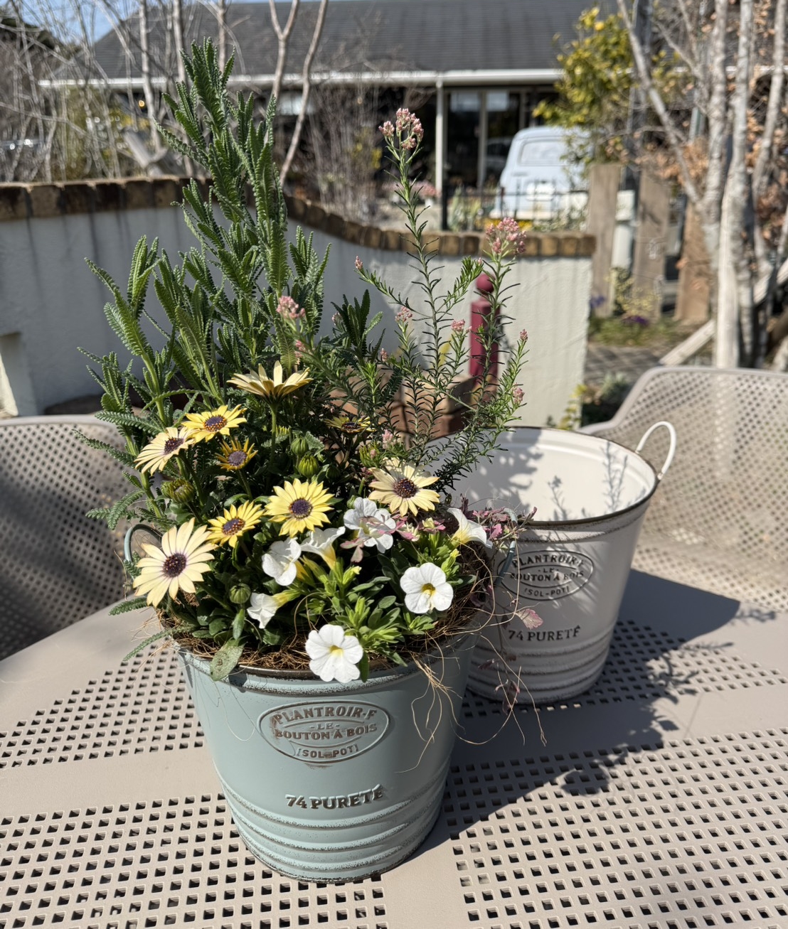 FLORA（フローラ）イベント 春の特別寄せ植え教室