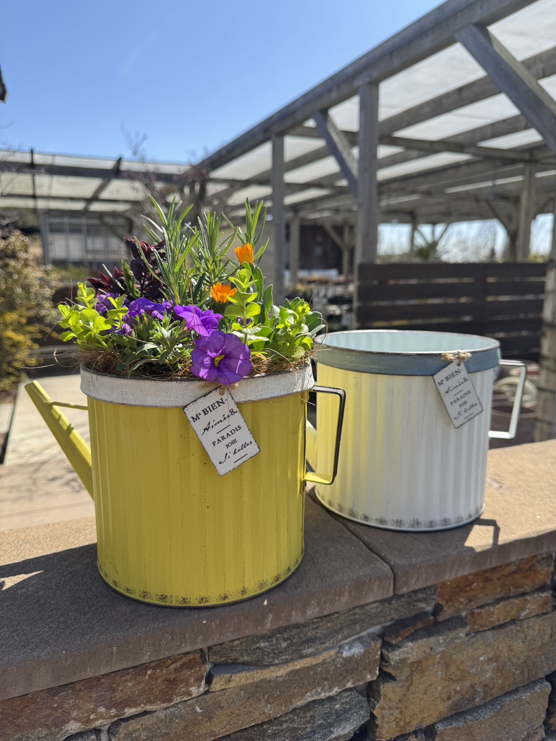 FLORA（フローラ）イベント 5月定期寄せ植え教室